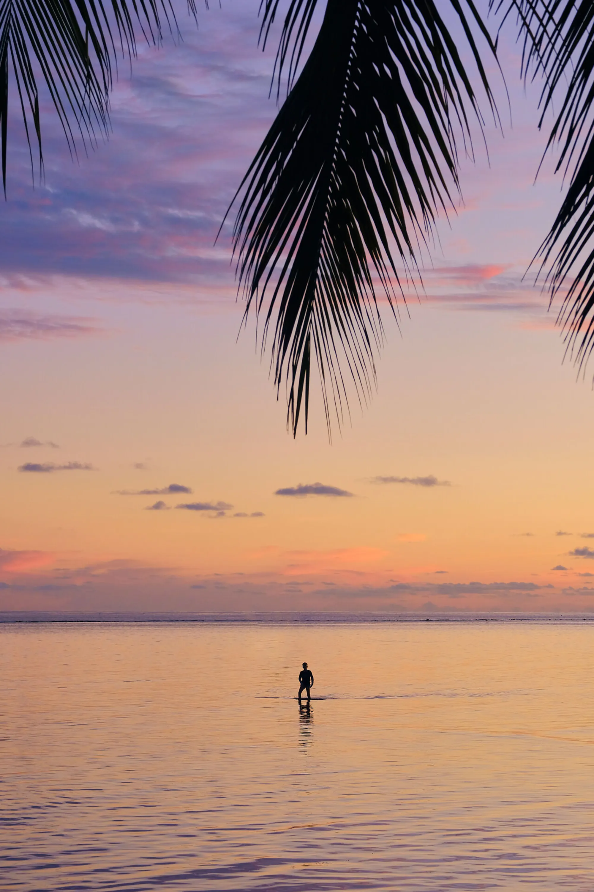 Grand Cayman 2020.jpg