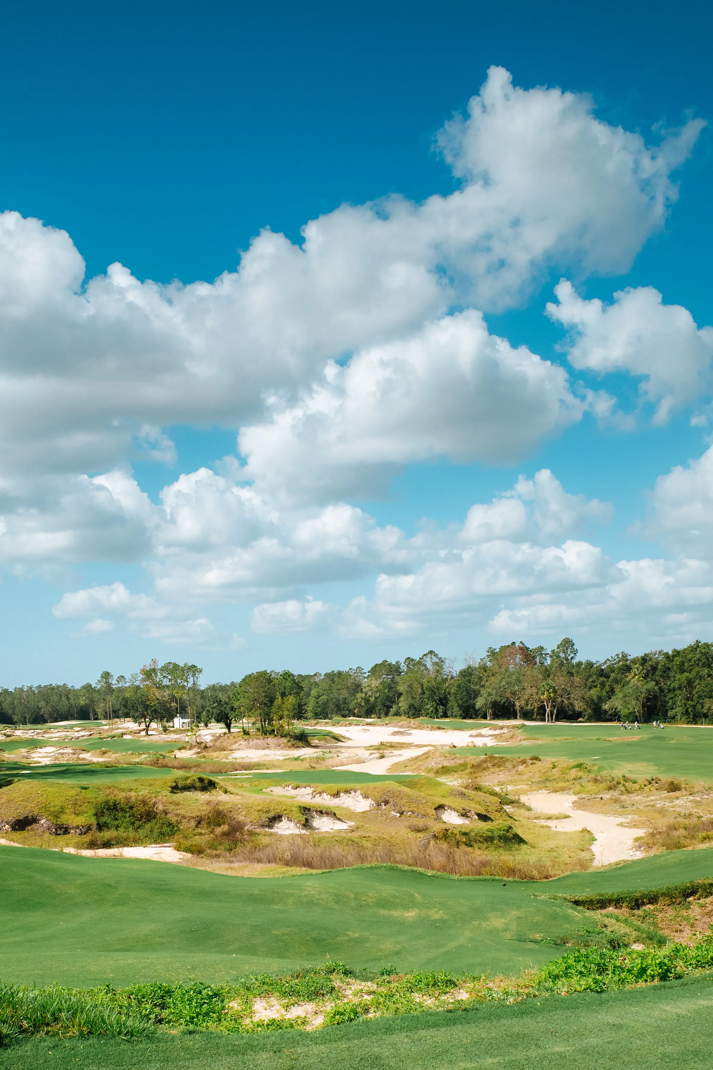 fla-golf-24-R0000335.jpg