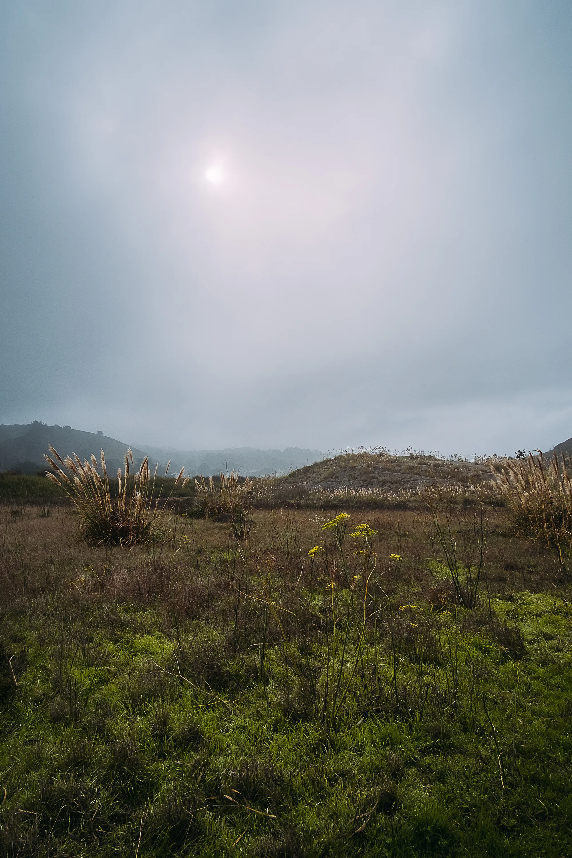 sf-nov-2016-5.jpg